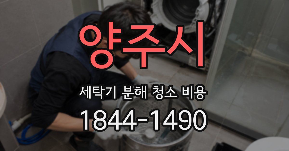 양주시 세탁기 분해 청소 비용