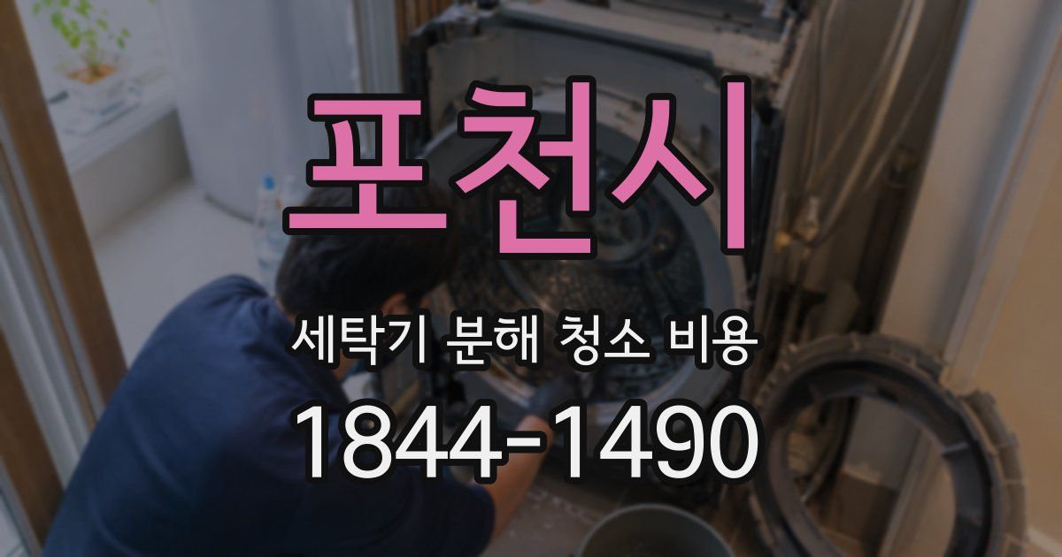 포천시 세탁기 분해 청소 비용