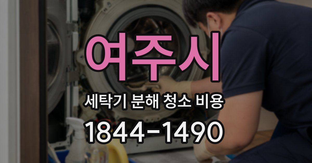 여주시 세탁기 분해 청소 비용