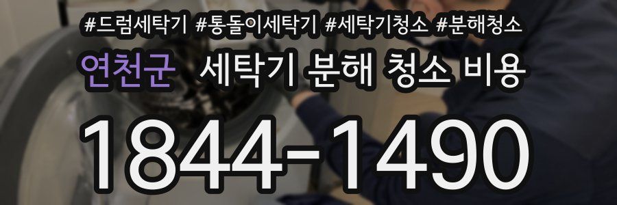 연천군 세탁기 분해 청소 비용