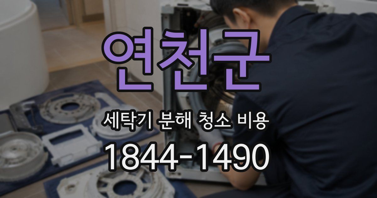 연천군 세탁기 분해 청소 비용