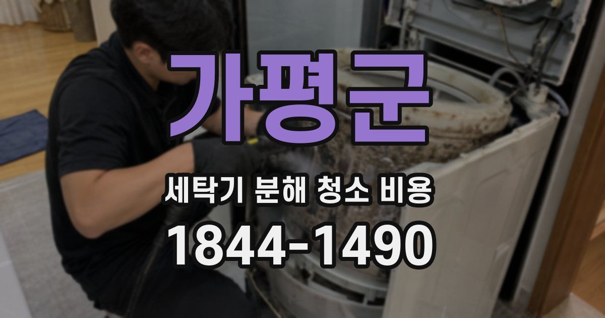 가평군 세탁기 분해 청소 비용