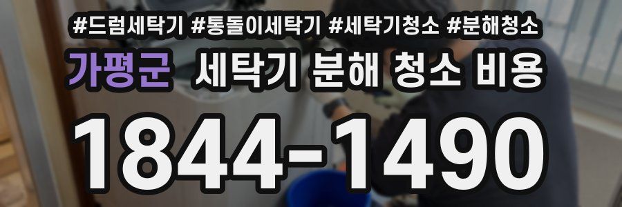 가평군 세탁기 분해 청소 비용