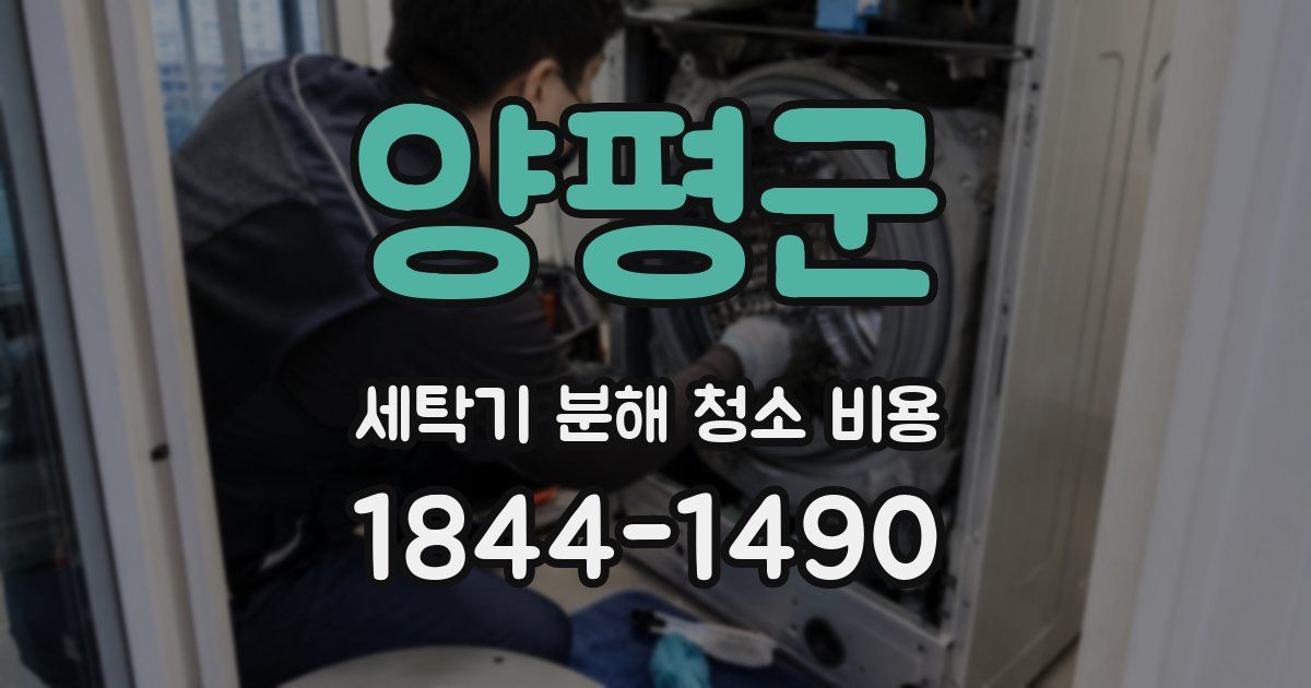 양평군 세탁기 분해 청소 비용