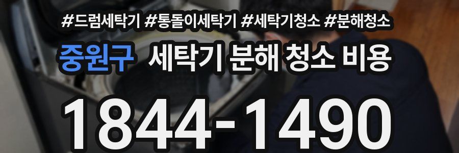 중원구 세탁기 분해 청소 비용