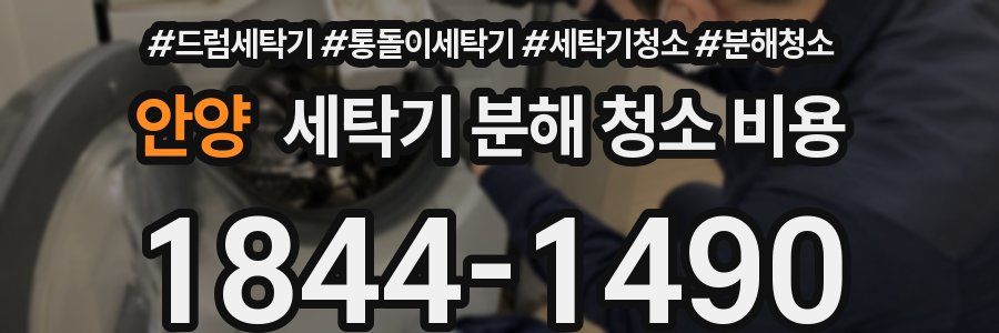 안양 세탁기 분해 청소 비용