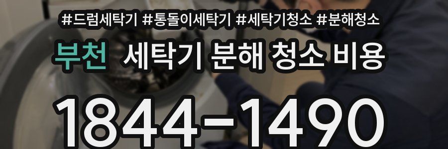 부천 세탁기 분해 청소 비용