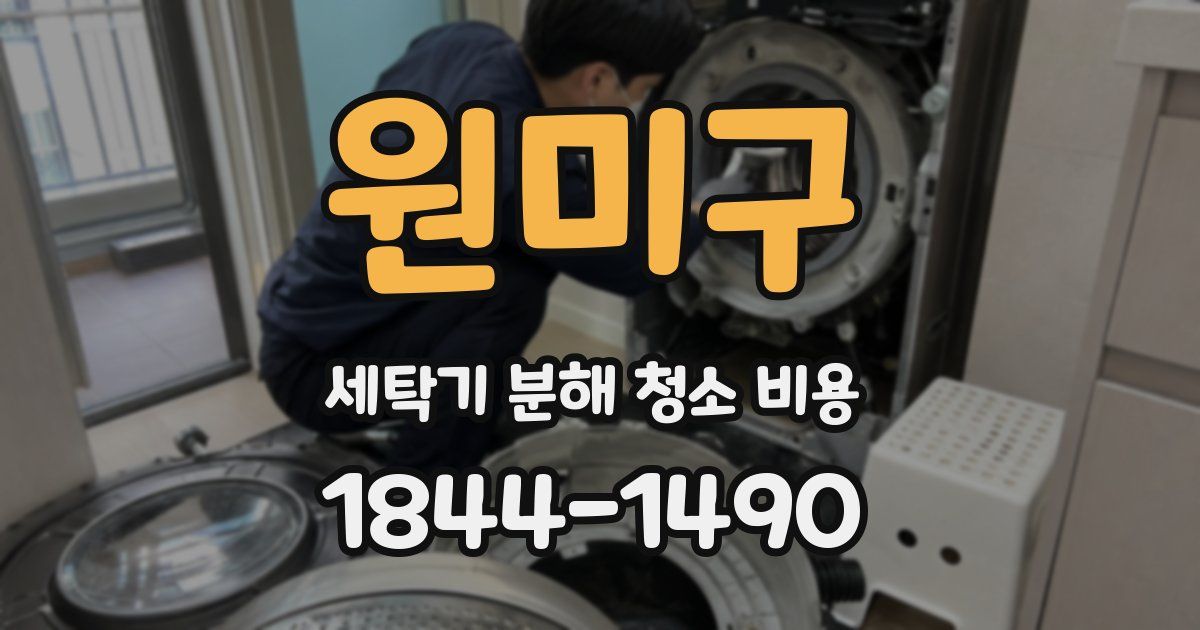 원미구 세탁기 분해 청소 비용