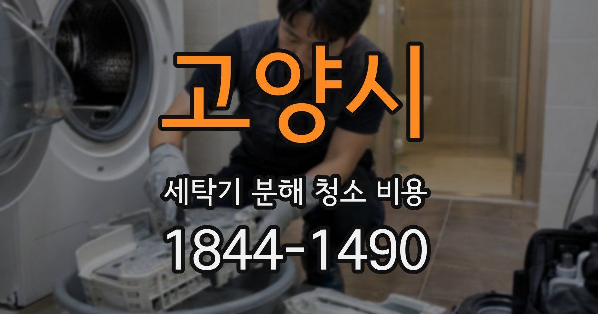 고양시 세탁기 분해 청소 비용