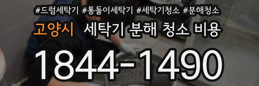 고양시 세탁기 분해 청소 비용