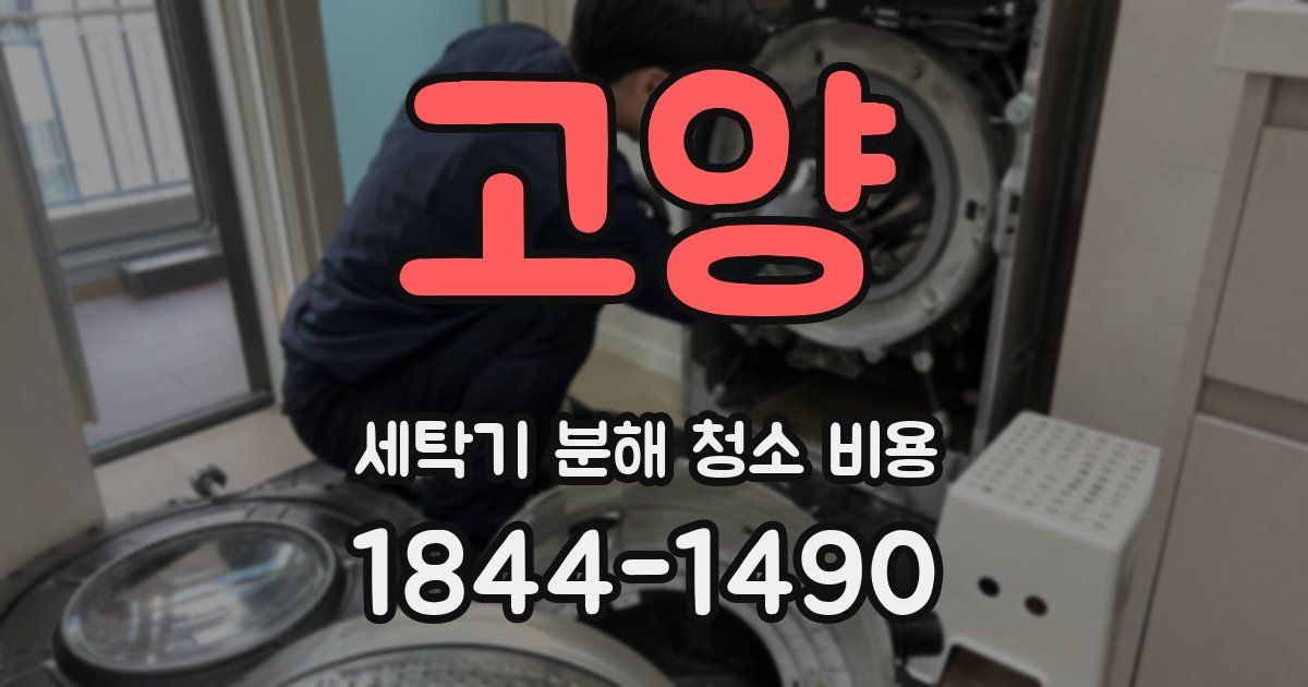 고양 세탁기 분해 청소 비용