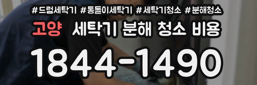 고양 세탁기 분해 청소 비용
