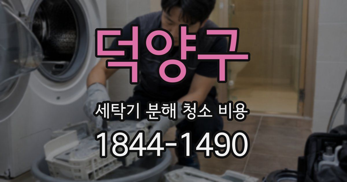 덕양구 세탁기 분해 청소 비용