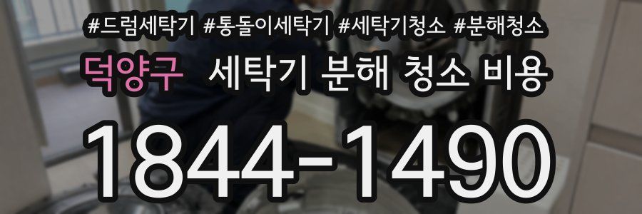 덕양구 세탁기 분해 청소 비용