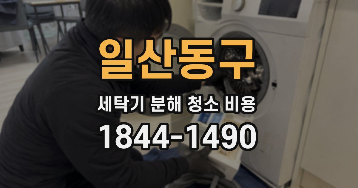 일산동구 세탁기 분해 청소 비용