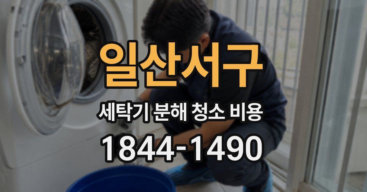 일산서구 세탁기 분해 청소 비용