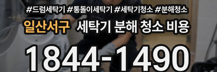 일산서구 세탁기 분해 청소 비용