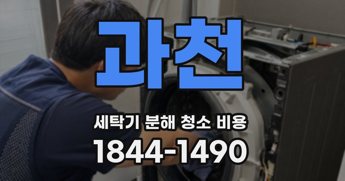 과천 세탁기 분해 청소 비용