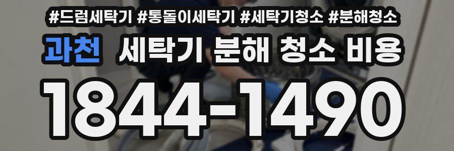 과천 세탁기 분해 청소 비용