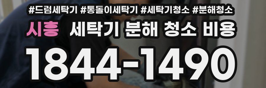 시흥 세탁기 분해 청소 비용