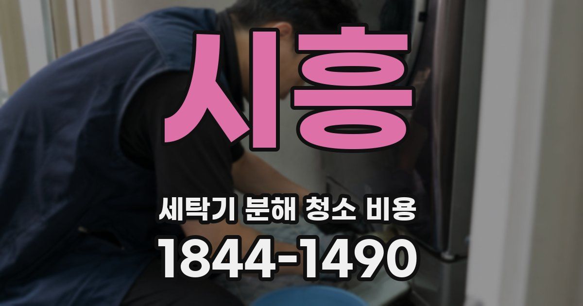 시흥 세탁기 분해 청소 비용