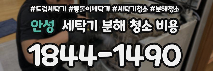 안성 세탁기 분해 청소 비용