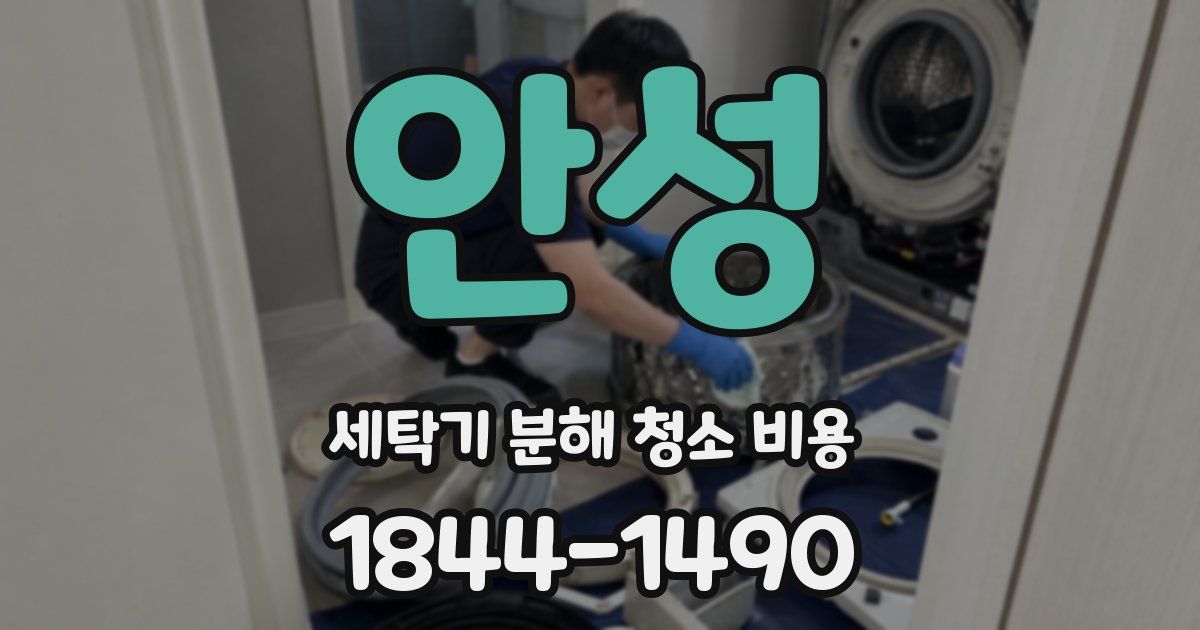 안성 세탁기 분해 청소 비용