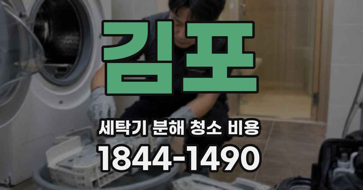 김포 세탁기 분해 청소 비용