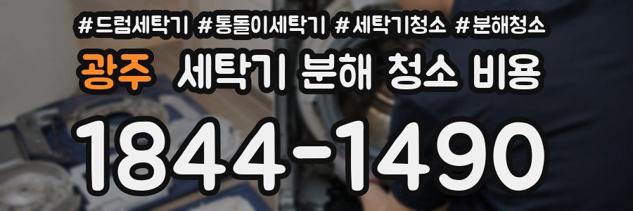 광주 세탁기 분해 청소 비용