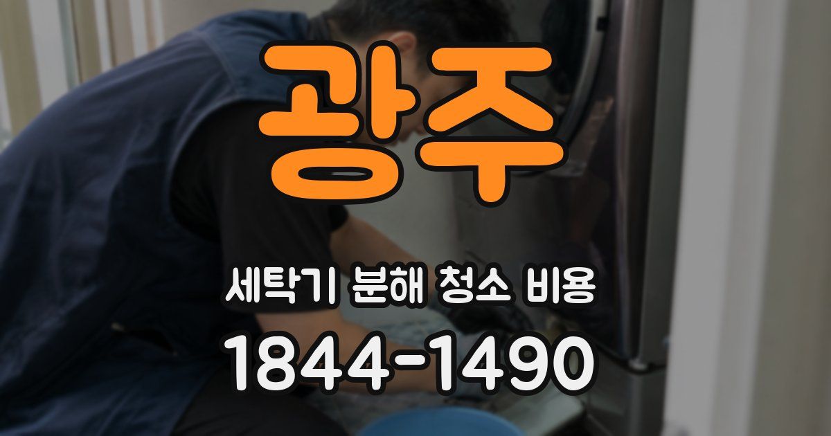 광주 세탁기 분해 청소 비용