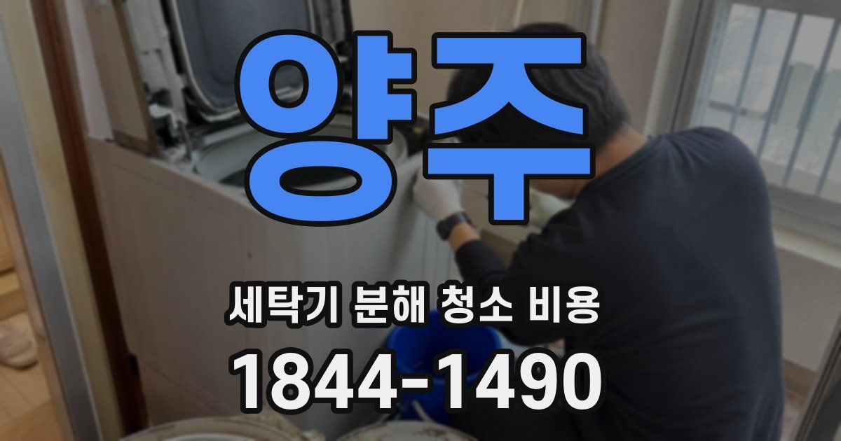 양주 세탁기 분해 청소 비용