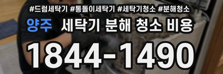 양주 세탁기 분해 청소 비용