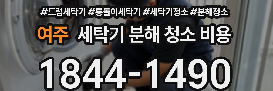 여주 세탁기 분해 청소 비용