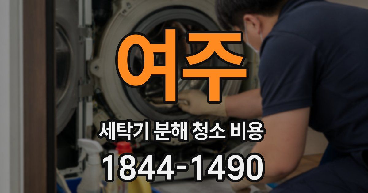 여주 세탁기 분해 청소 비용