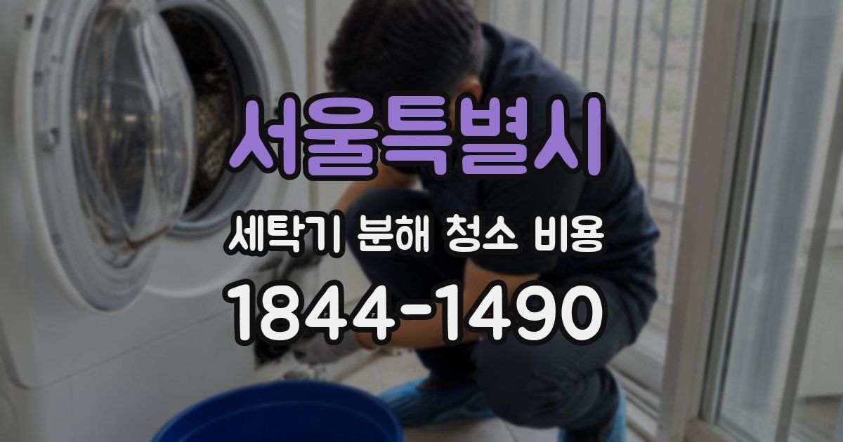 서울특별시 세탁기 분해 청소 비용