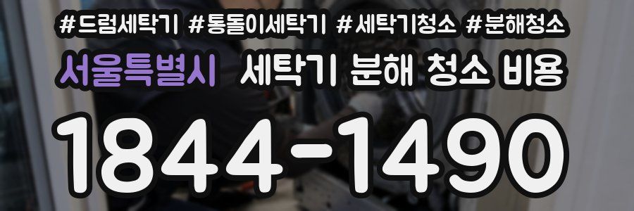 서울특별시 세탁기 분해 청소 비용