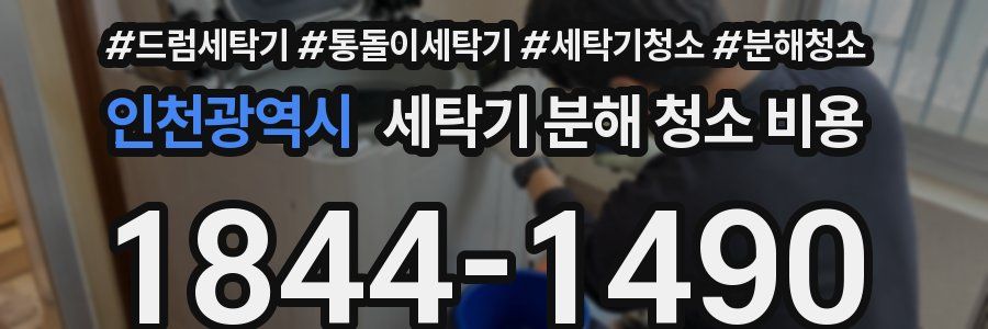 인천광역시 세탁기 분해 청소 비용