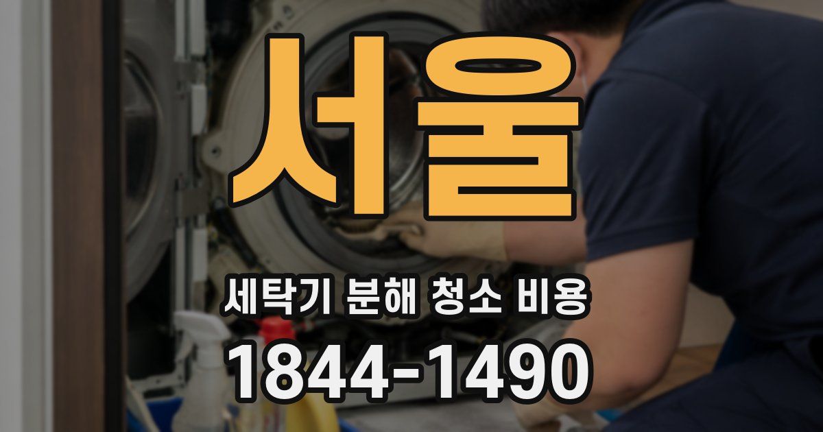 서울 세탁기 분해 청소 비용