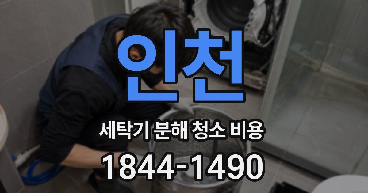 인천 세탁기 분해 청소 비용