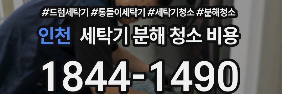 인천 세탁기 분해 청소 비용