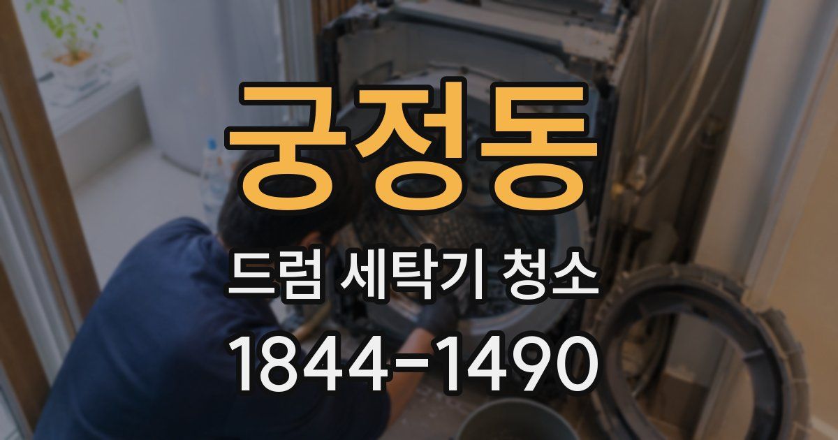 궁정동 드럼 세탁기 청소