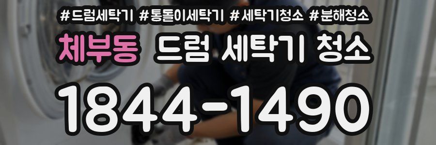 체부동 드럼 세탁기 청소