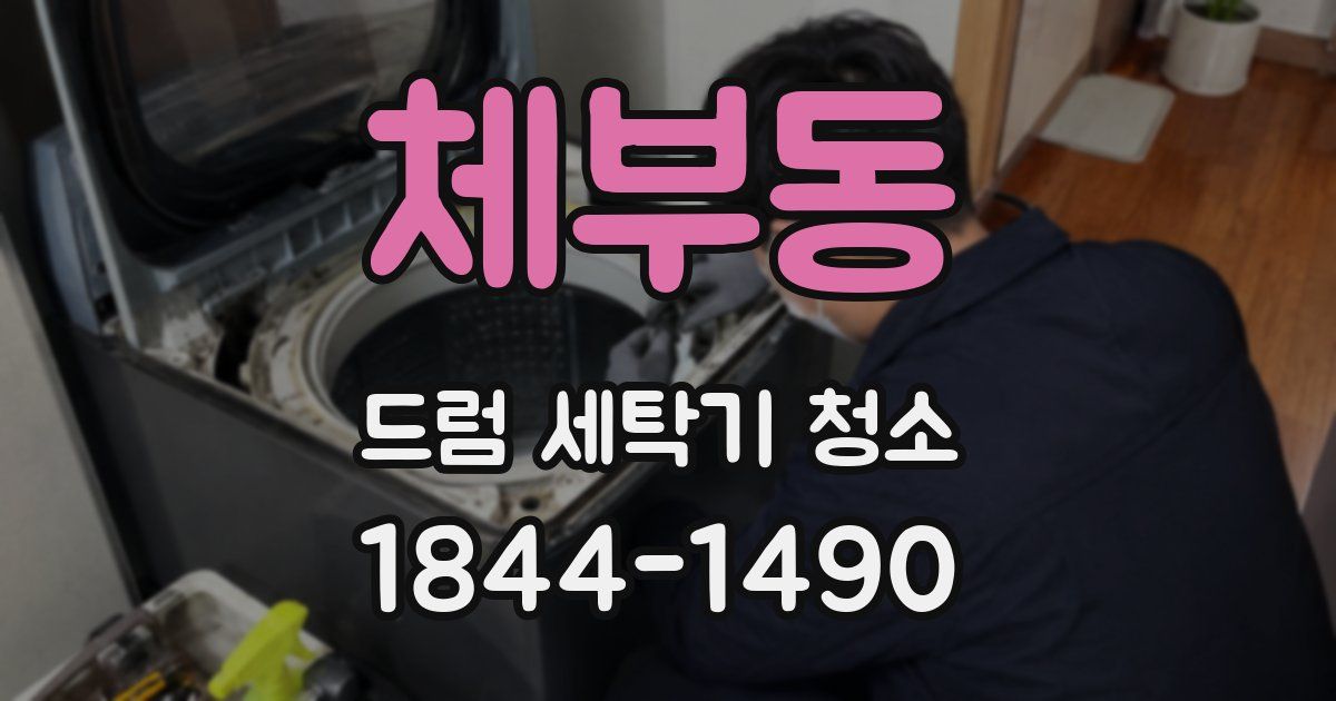체부동 드럼 세탁기 청소