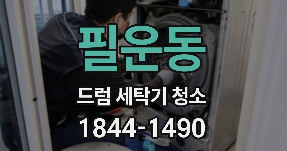 필운동 드럼 세탁기 청소