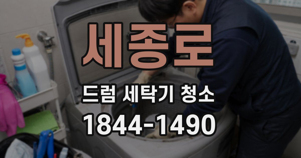 세종로 드럼 세탁기 청소
