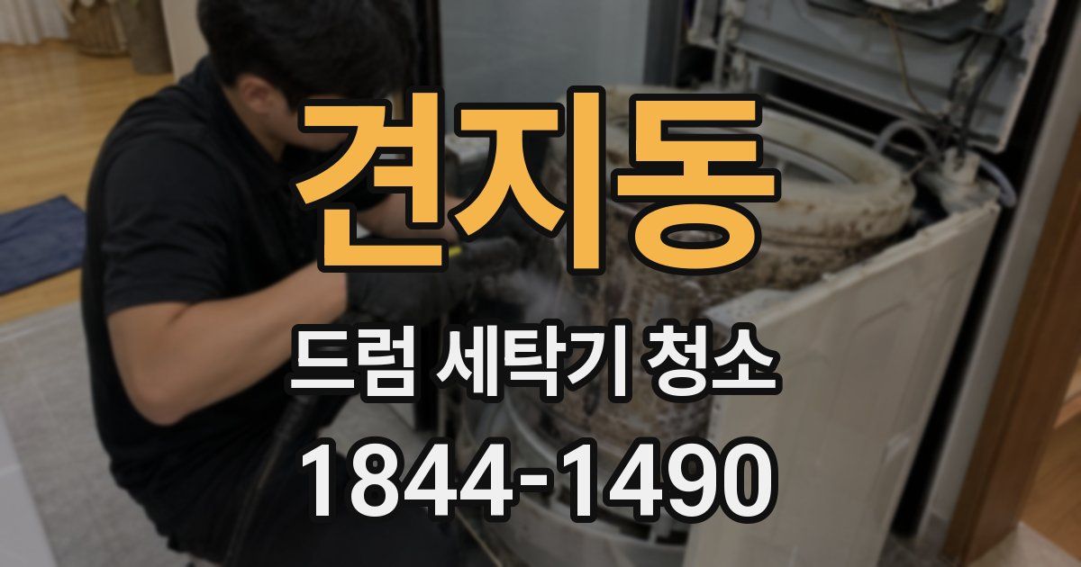 견지동 드럼 세탁기 청소