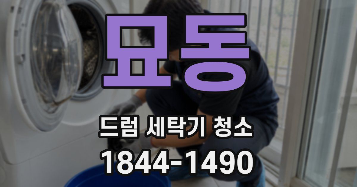 묘동 드럼 세탁기 청소