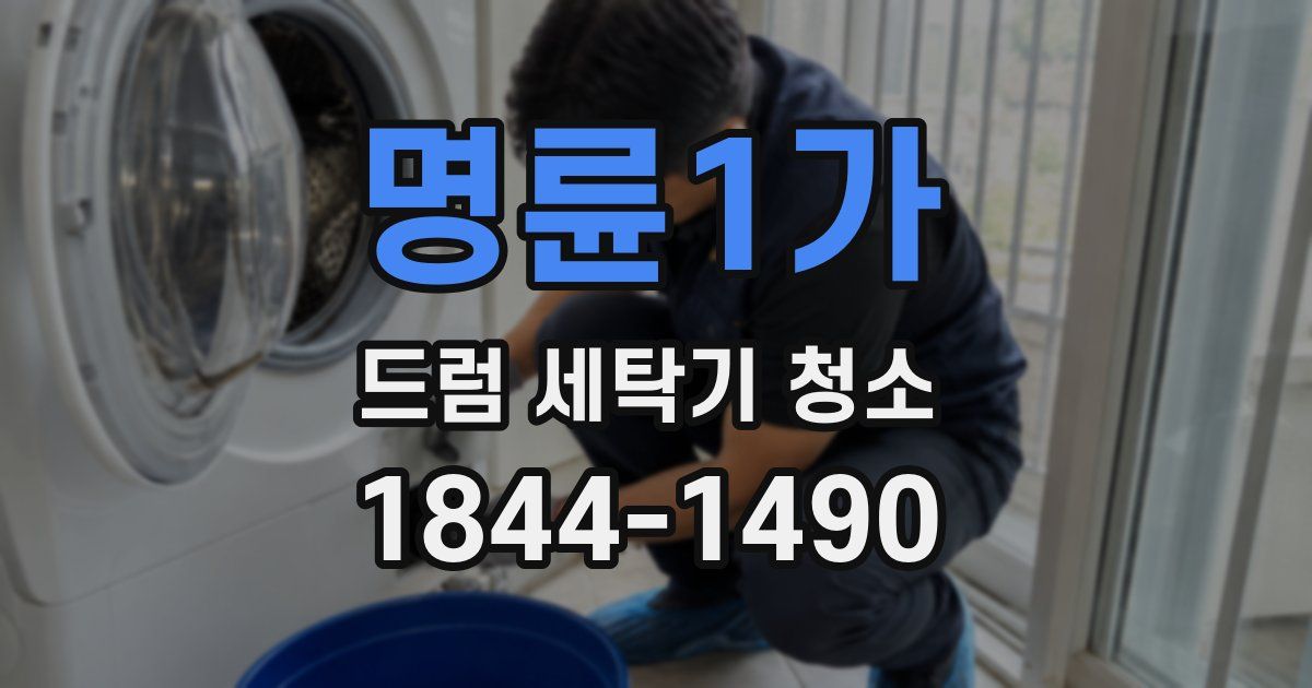 명륜1가 드럼 세탁기 청소