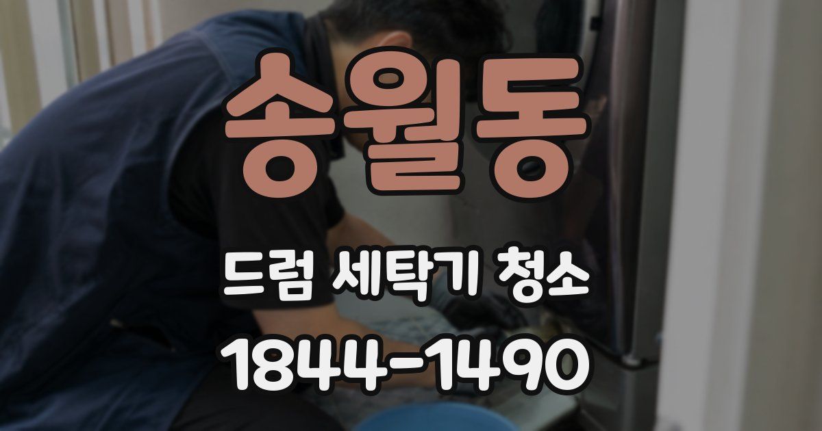 송월동 드럼 세탁기 청소