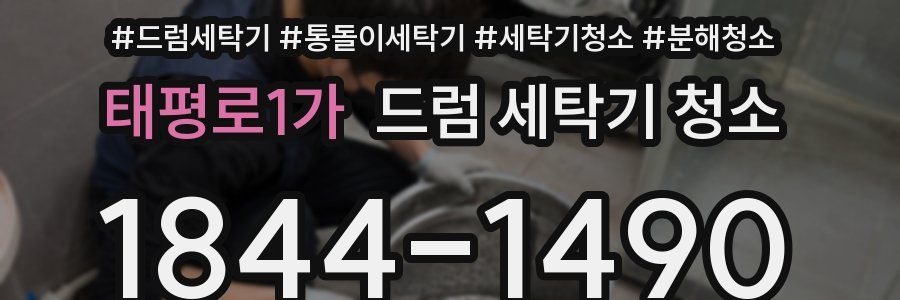 태평로1가 드럼 세탁기 청소